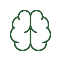 Brain & Memory