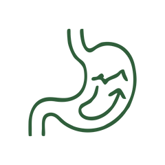 Digestion