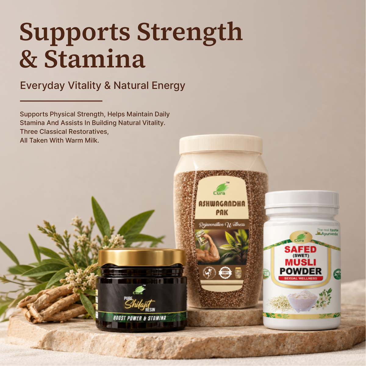 Men's Strength & Wellness
