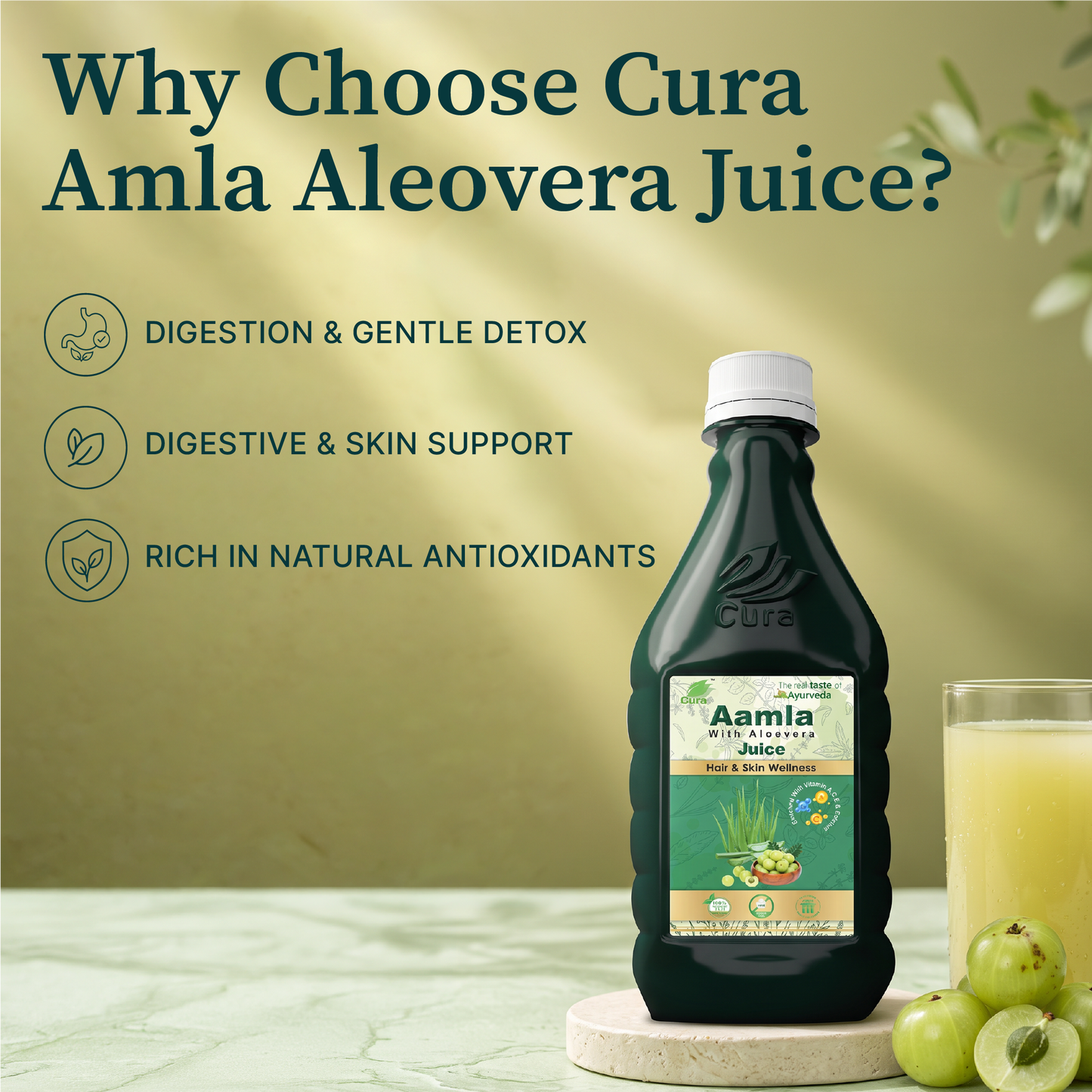 Amla Aleovera Juice