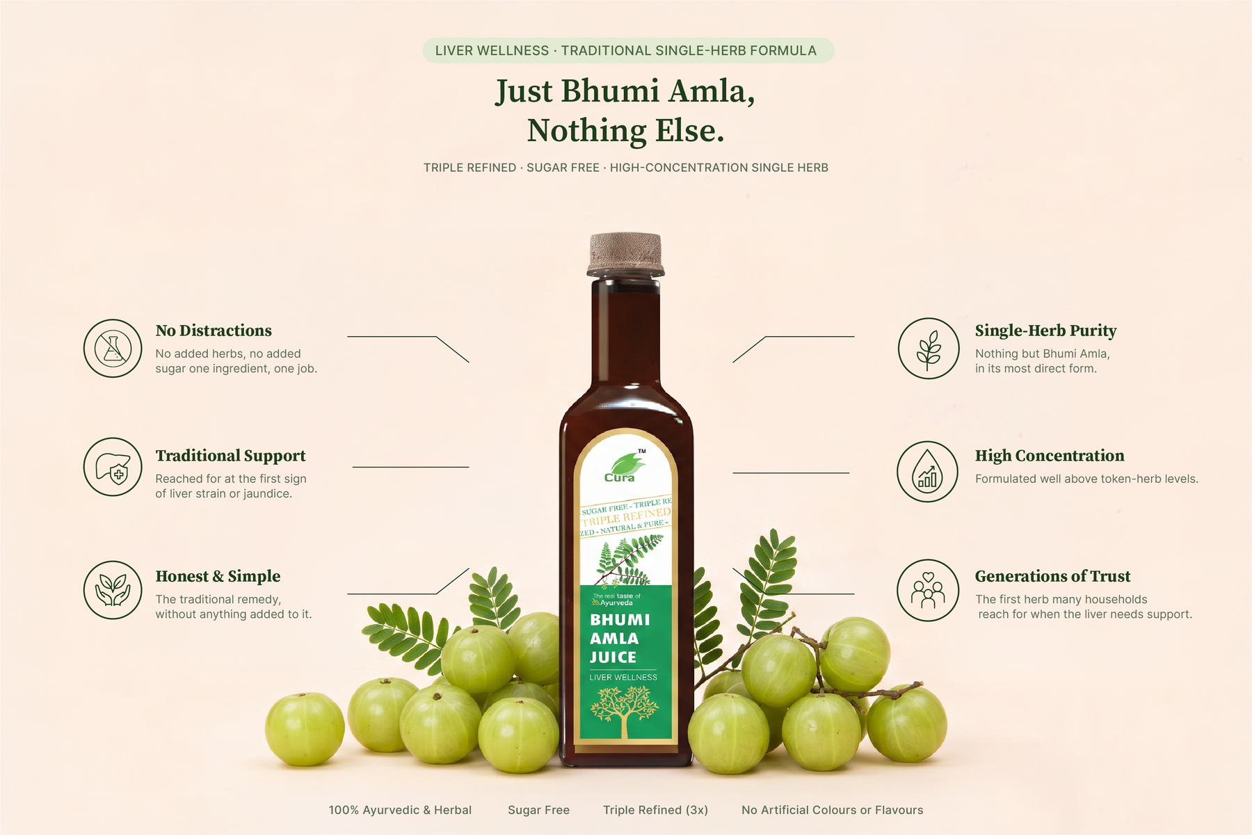 Bhumi Amla Juice