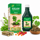 Giloy with Tulsi Juice